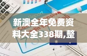 新澳全年免费资料大全338期,整体执行讲解_试用版17.385-5