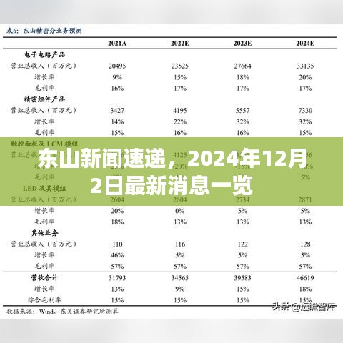 东山新闻速递，2024年12月2日最新消息全览