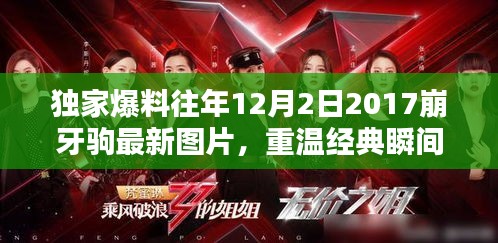 独家揭秘，崩牙驹经典瞬间再现——往年12月2日独家图片曝光！