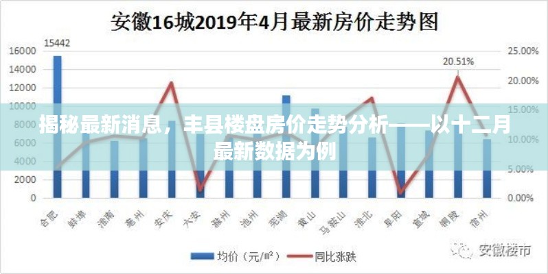 揭秘最新消息，丰县楼盘房价走势深度剖析——十二月最新数据分析报告