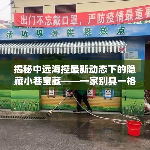 探索中远海控新动态背后的隐藏宝藏，独特特色小店揭秘