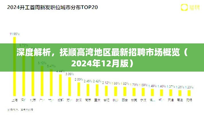 抚顺高湾地区最新招聘市场深度解析（2024年12月版概览）