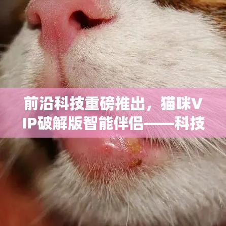 猫咪VIP破解版智能伴侣，科技宠物的极致体验新篇章