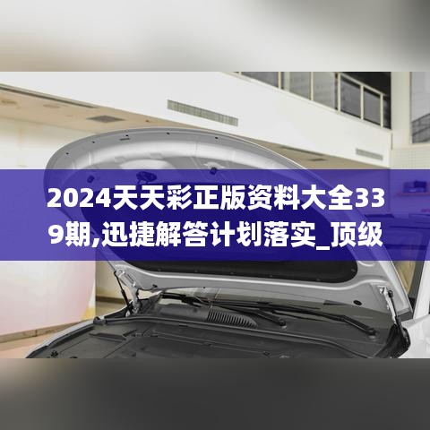 2024天天彩正版资料大全339期,迅捷解答计划落实_顶级款6.617-8