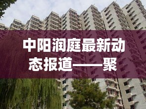 中阳润庭最新动态报道，聚焦发展动向，揭秘12月2日新动向