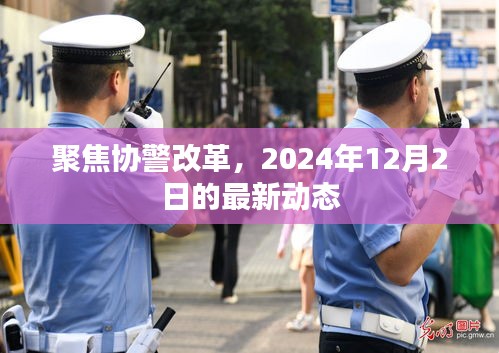 聚焦协警改革，最新动态报告（2024年12月2日）