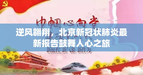 北京新冠状肺炎最新报告，逆风翱翔鼓舞人心之旅