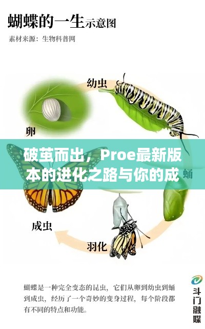 Proe最新版本的进化之路，破茧而出与你的成长启示