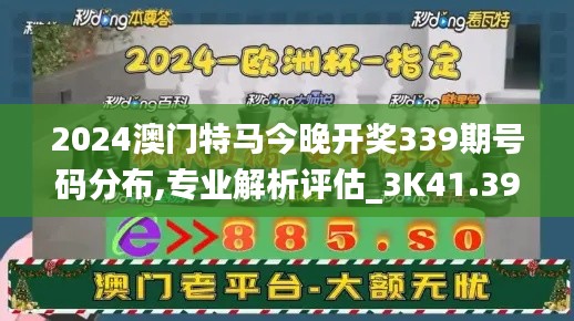 2024澳门特马今晚开奖339期号码分布,专业解析评估_3K41.398-2