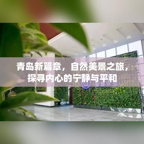 青岛新篇章，自然美景探寻，心灵宁静之旅