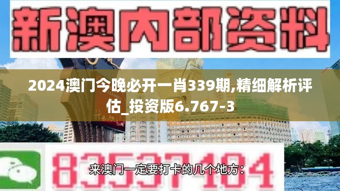 2024澳门今晚必开一肖339期,精细解析评估_投资版6.767-3