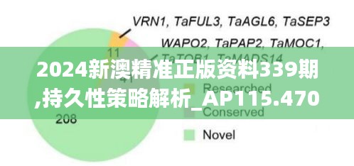 2024新澳精准正版资料339期,持久性策略解析_AP115.470-1