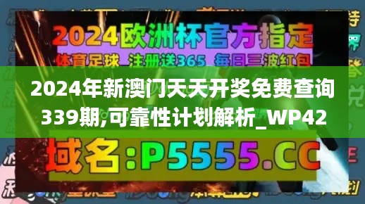 2024年新澳门天天开奖免费查询339期,可靠性计划解析_WP42.639-5