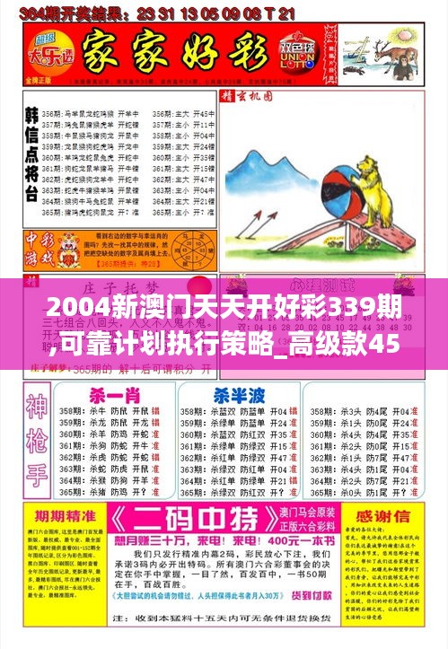 2004新澳门天天开好彩339期,可靠计划执行策略_高级款45.627-1