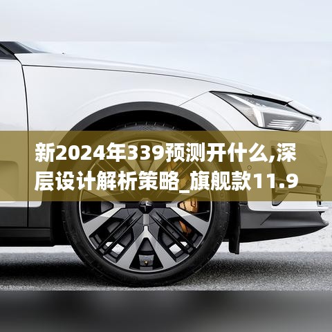 新2024年339预测开什么,深层设计解析策略_旗舰款11.937-2