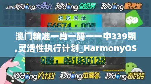 澳门精准一肖一码一一中339期,灵活性执行计划_HarmonyOS11.894-5