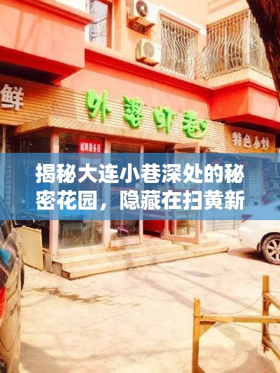 大连隐秘小巷的秘密花园，扫黄新风下的小店探秘之旅