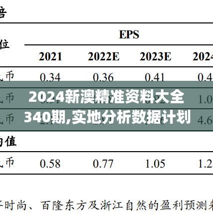 2024新澳精准资料大全340期,实地分析数据计划_Lite83.613-8