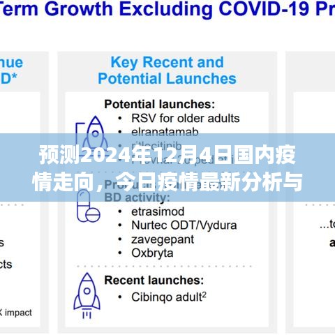2024年12月4日国内疫情影响预测，今日疫情分析与未来展望
