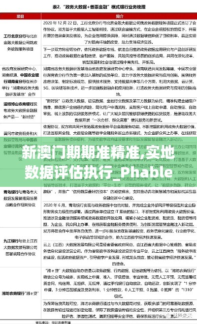 新澳门期期准精准,实地数据评估执行_Phablet45.470-6