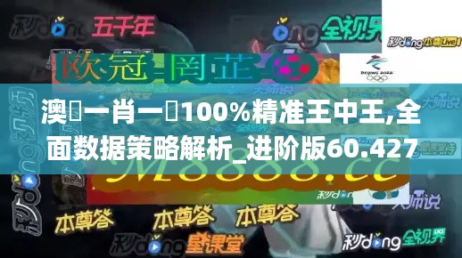 澳門一肖一碼100%精准王中王,全面数据策略解析_进阶版60.427-3