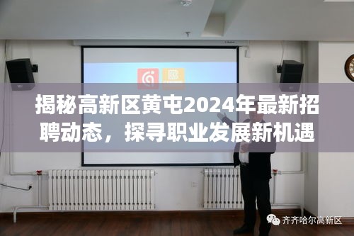 高新区黄屯2024年招聘动态揭秘，职业发展新机遇指南