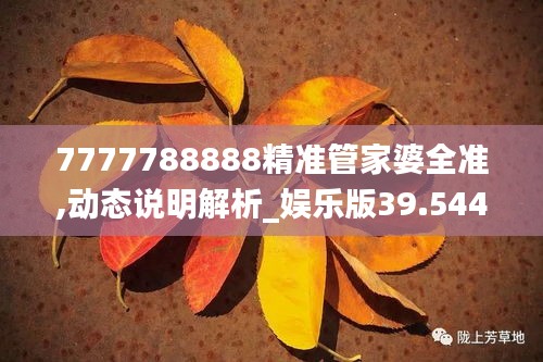 7777788888精准管家婆全准,动态说明解析_娱乐版39.544