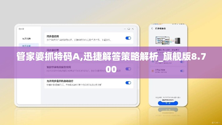 管家婆抓特码A,迅捷解答策略解析_旗舰版8.700