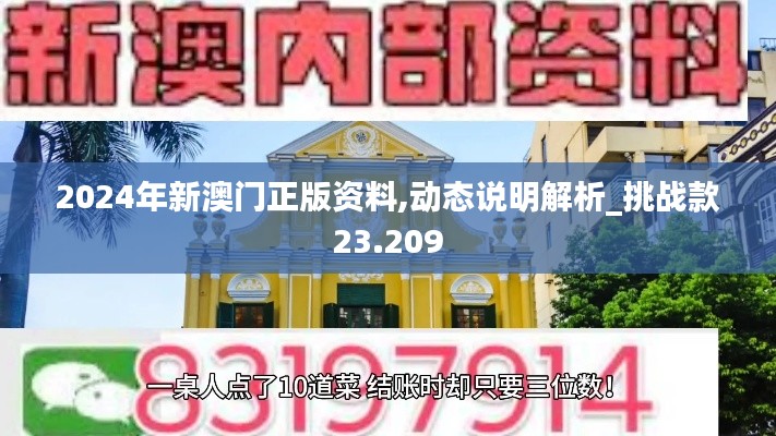 2024年新澳门正版资料,动态说明解析_挑战款23.209