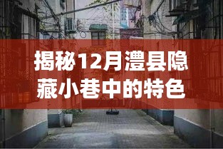 揭秘澧县隐藏小巷特色小店，12月最新风情视频带你领略别样魅力