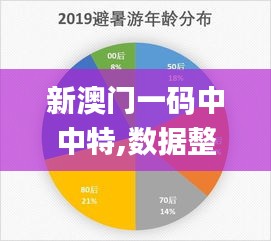 新澳门一码中中特,数据整合实施方案_开发版15.576