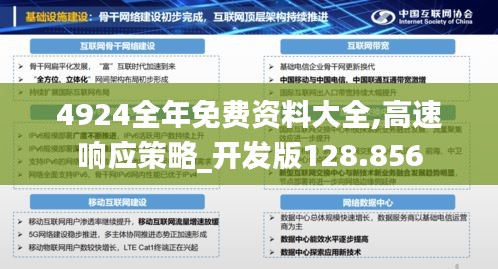 4924全年免费资料大全,高速响应策略_开发版128.856