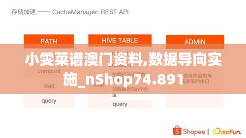 小雯菜谱澳门资料,数据导向实施_nShop74.891