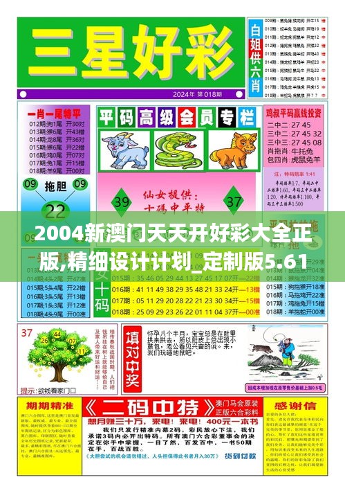 2004新澳门天天开好彩大全正版,精细设计计划_定制版5.613