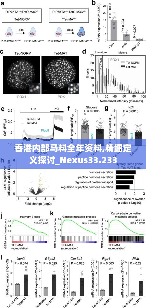 香港内部马料全年资料,精细定义探讨_Nexus33.233