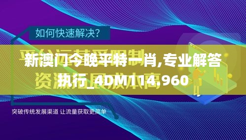 新澳门今晚平特一肖,专业解答执行_4DM114.960