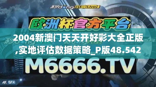 2004新澳门天天开好彩大全正版,实地评估数据策略_P版48.542