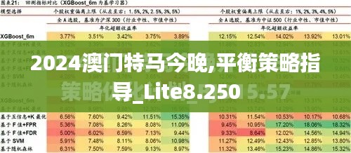 2024澳门特马今晚,平衡策略指导_Lite8.250