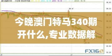 今晚澳门特马340期开什么,专业数据解释定义_豪华款71.688-4