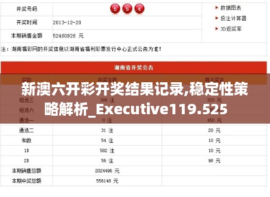 新澳六开彩开奖结果记录,稳定性策略解析_Executive119.525