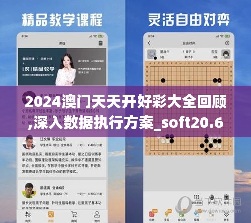 2024澳门天天开好彩大全回顾,深入数据执行方案_soft20.674