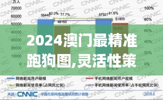 2024澳门最精准跑狗图,灵活性策略解析_挑战款97.993