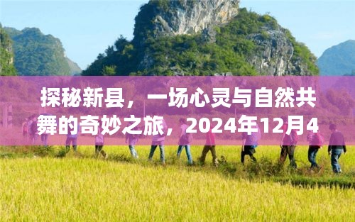 探秘新县，心灵与自然共舞之旅，未知奇遇即将上演（2024年12月4日）