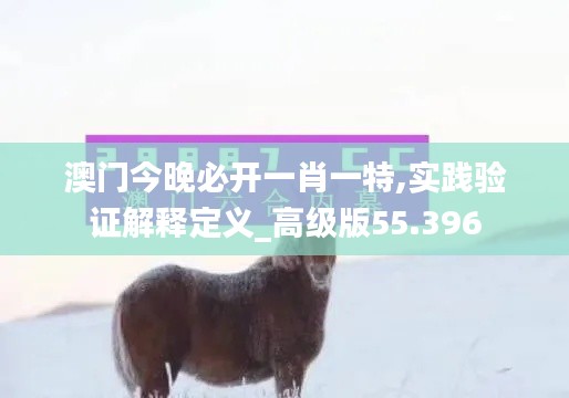 澳门今晚必开一肖一特,实践验证解释定义_高级版55.396