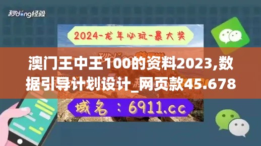 澳门王中王100的资料2023,数据引导计划设计_网页款45.678