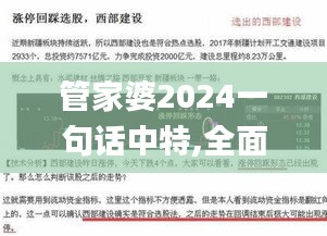 管家婆2024一句话中特,全面分析解释定义_VR78.650