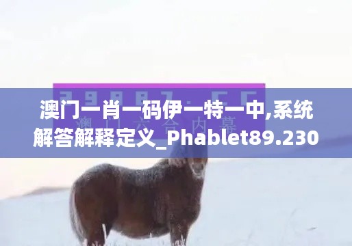 澳门一肖一码伊一特一中,系统解答解释定义_Phablet89.230