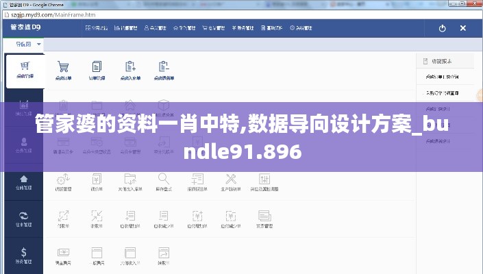 管家婆的资料一肖中特,数据导向设计方案_bundle91.896