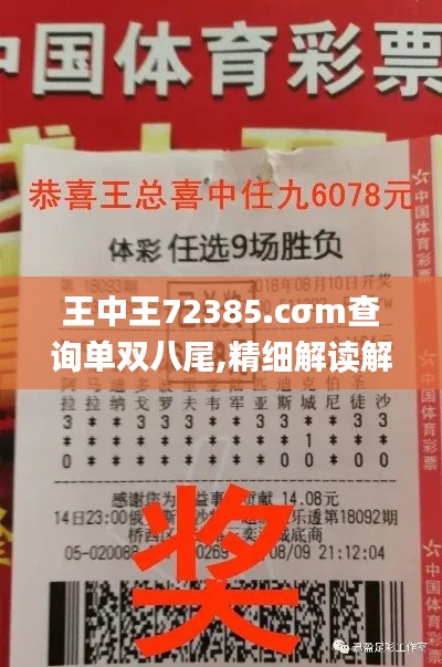 王中王72385.cσm查询单双八尾,精细解读解析_精英版54.873