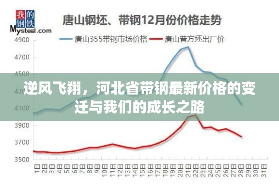 河北省带钢价格变迁与成长之路，逆风飞翔